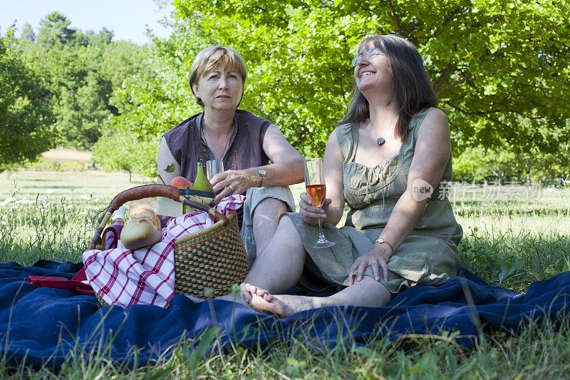 女人享受野餐