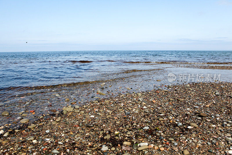 海岸