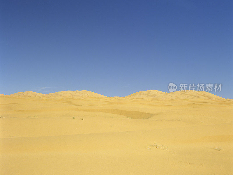 摩洛哥撒哈拉沙漠(图片大小XXL)