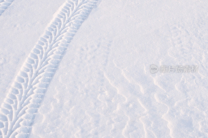 雪地上的轮胎印