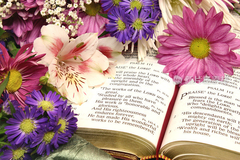 宗教:诗篇111，圣经，带花的圣经