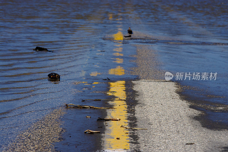 淹没了公路