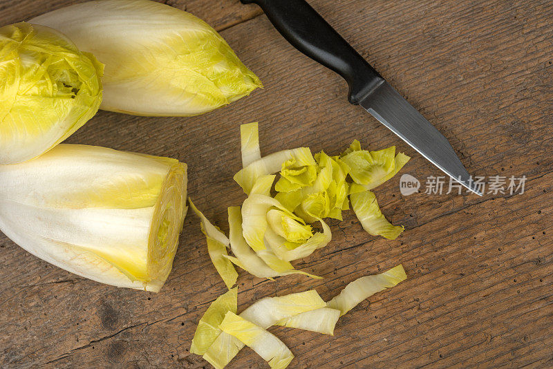 比利时菊苣或菊苣——新鲜健康的食物