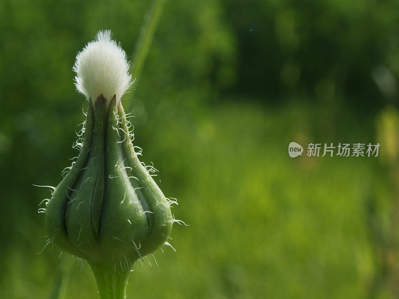 春季健康，宏观细节