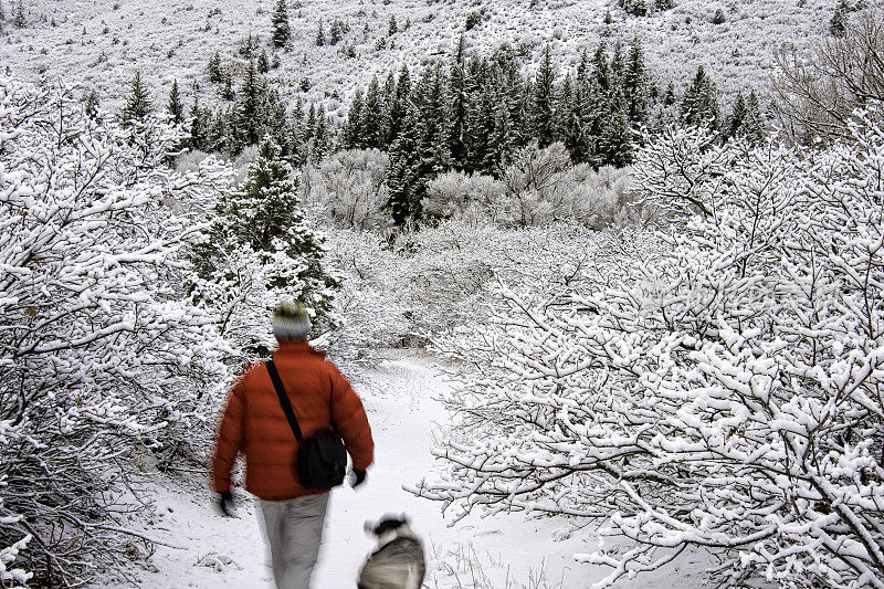 冬天的场景与新鲜的雪沿着小溪在红峡谷