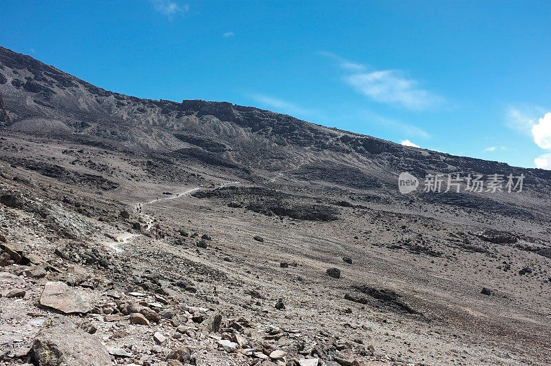 在乞力马扎罗山的斜坡上