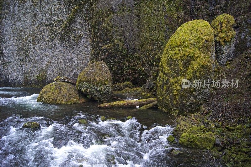 坦纳溪玄武岩巨石