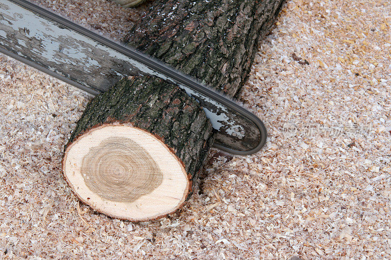 切割木材