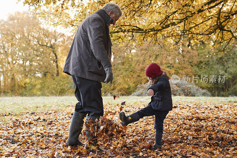 爷爷和孙女在秋天散步时踢树叶