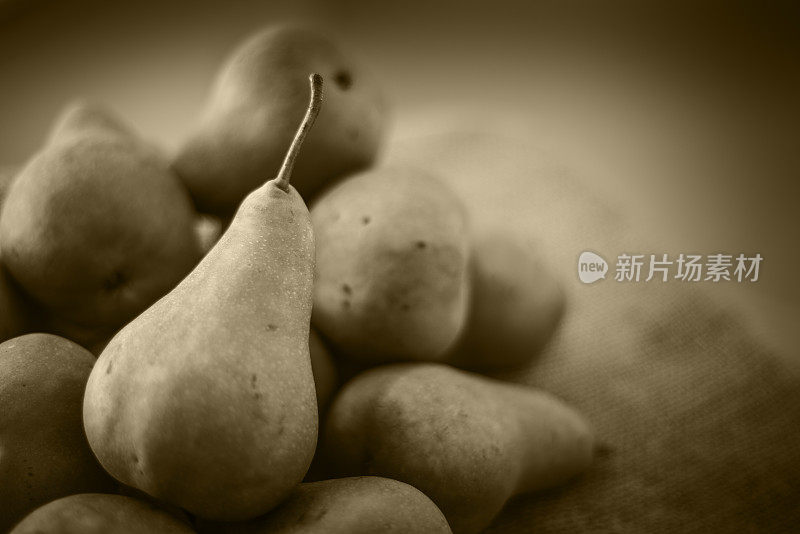 博斯克梨Pears-Sepia