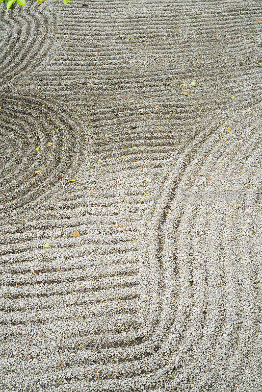 日本京都春寺禅宗花园细节