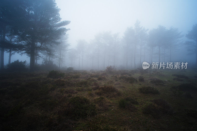 特拉斯-奥斯-蒙特斯的风景