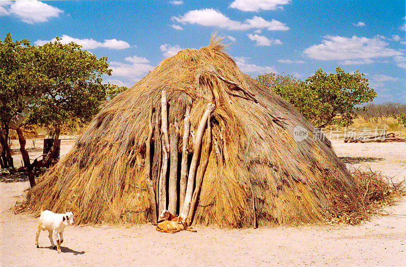 博茨瓦纳:桑布希曼草屋村，山羊，蓝天