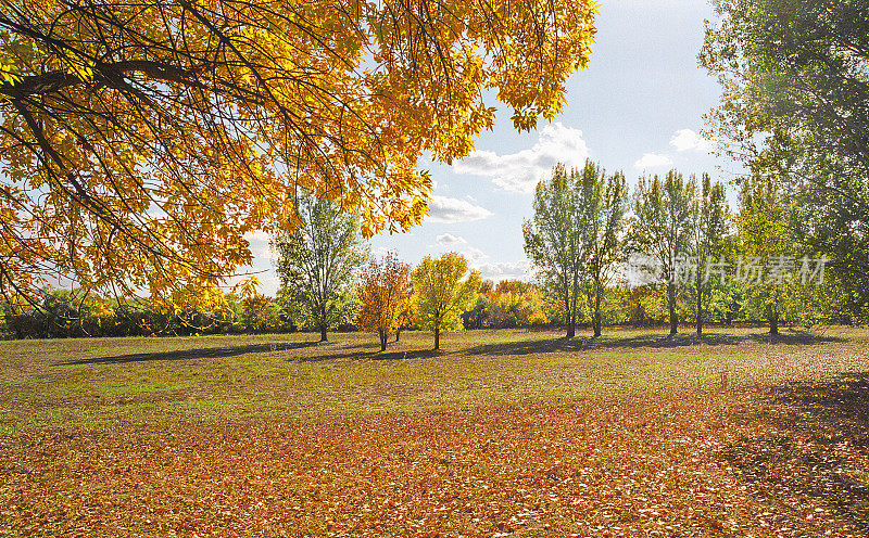 秋天，自然在阿斯特拉罕地区。俄罗斯