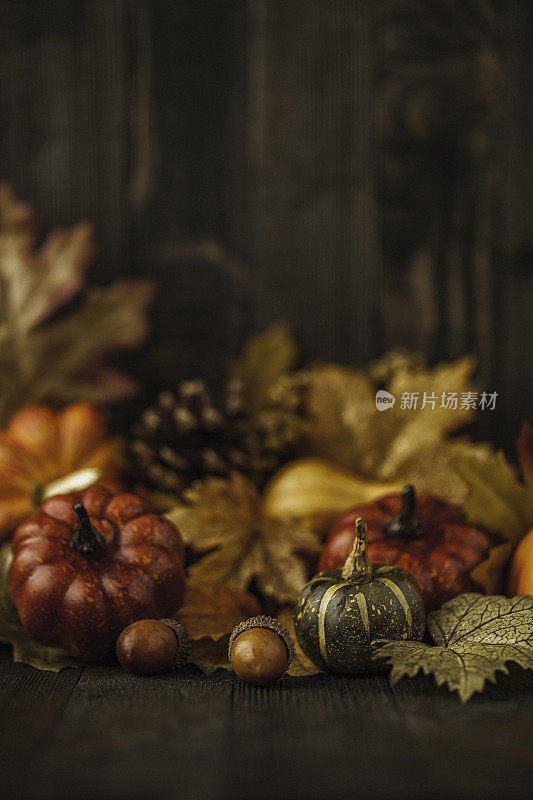 感恩节的静物背景有南瓜和秋叶