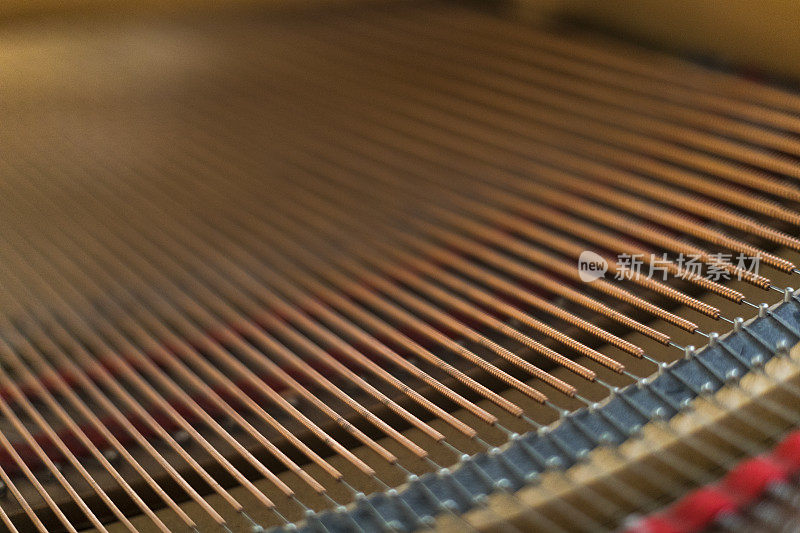 钢琴内部的特写镜头，弦和阻尼器是可见的。