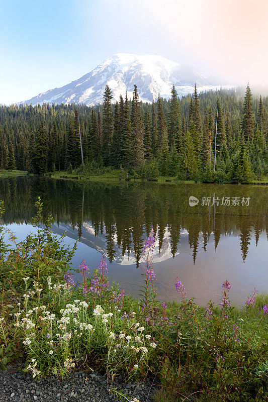 雷尼尔山