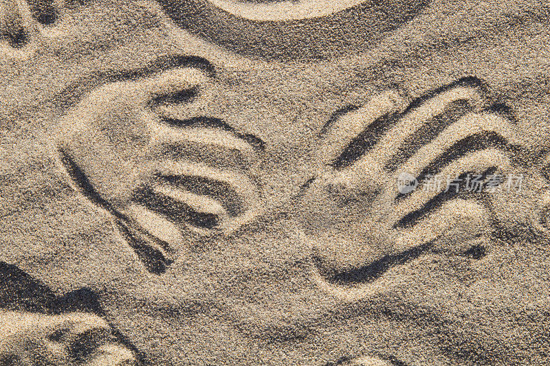 沙子的手