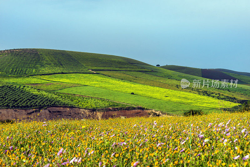 非洲梅克内斯附近的摩洛哥风景