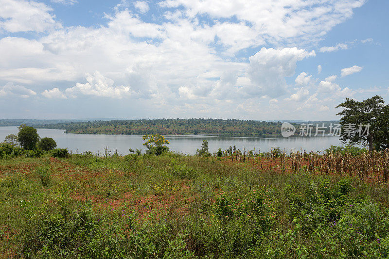 穆格塞拉湖靠近米酒-卢旺达
