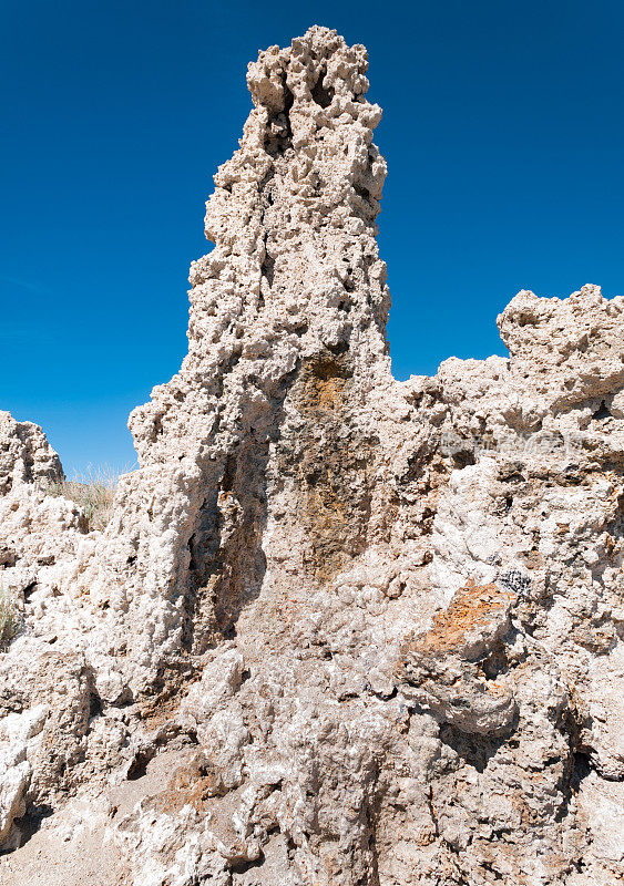 莫诺湖凝灰岩特写，东Sierra，加利福尼亚州