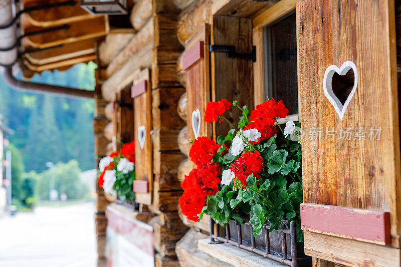 在奥地利或德国，典型的巴伐利亚或奥地利木窗上有红色的天竺葵花