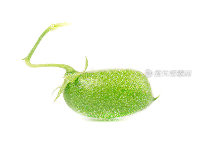豆荚中的绿鹰嘴豆孤立在白色的背景上。宏