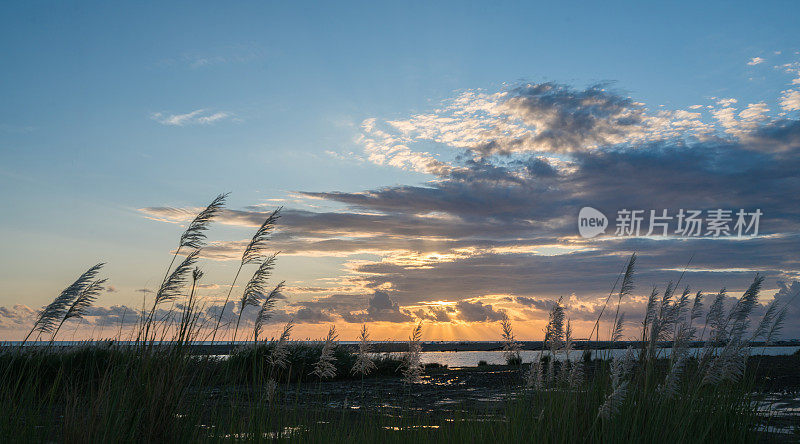 芦苇湖和海景