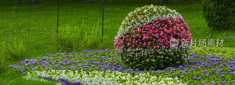 花坛日本式，一年生多色花朵