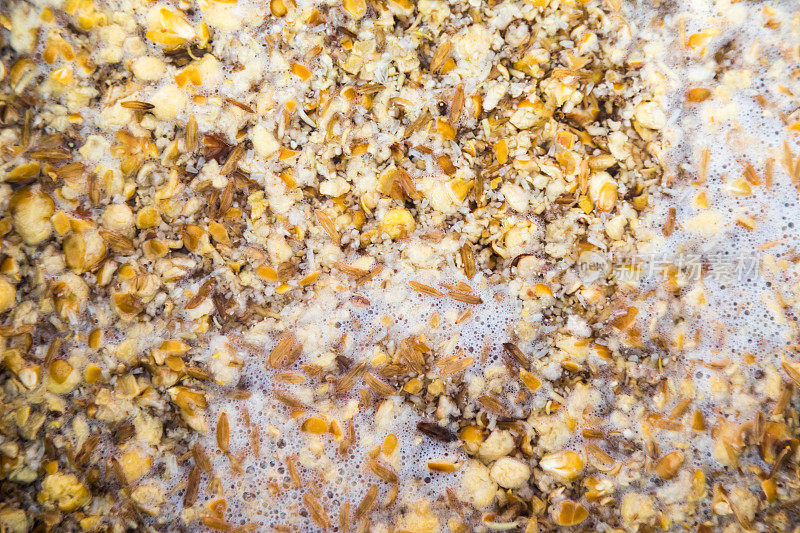 在不锈钢壶中捣碎一种家庭酿造的奶油麦芽啤酒与粉碎的大麦和玉米