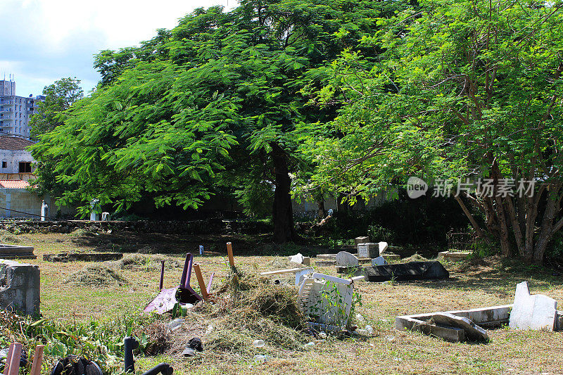 牙买加蒙特哥湾路边的公墓