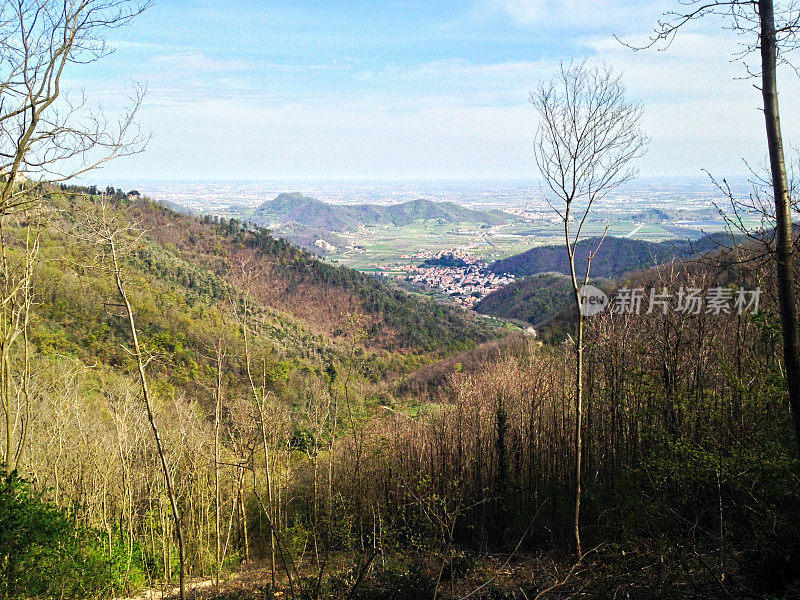 景观有绿色的山丘，植被和森林