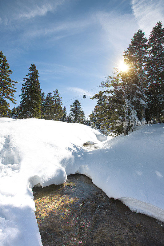 美丽的冬季景观，白雪覆盖的树木和河流