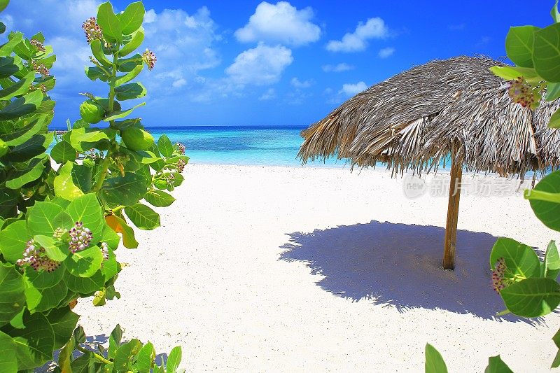 热带海滩与palapa遮阳伞和郁郁葱葱的树叶-加勒比海