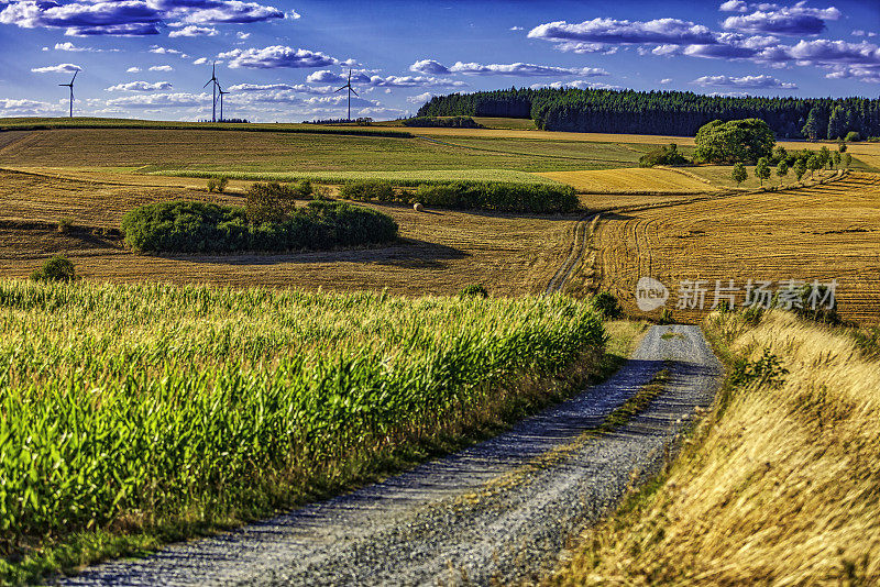 乡村景观中的乡村道路(HDRi)