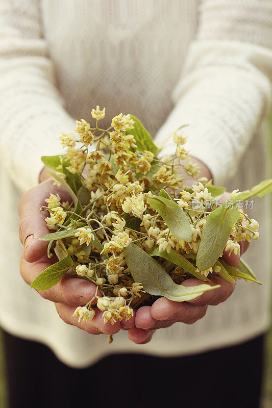 手上满是干菩提花