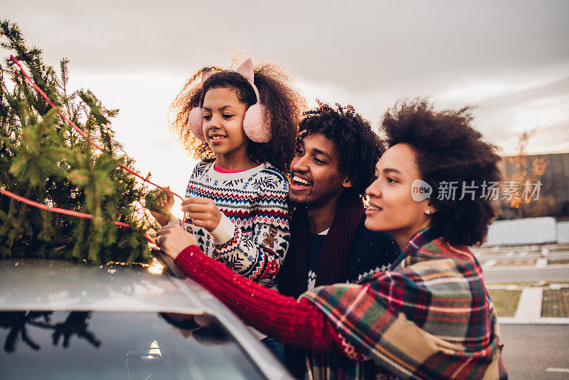年轻的家庭把圣诞树放在车上