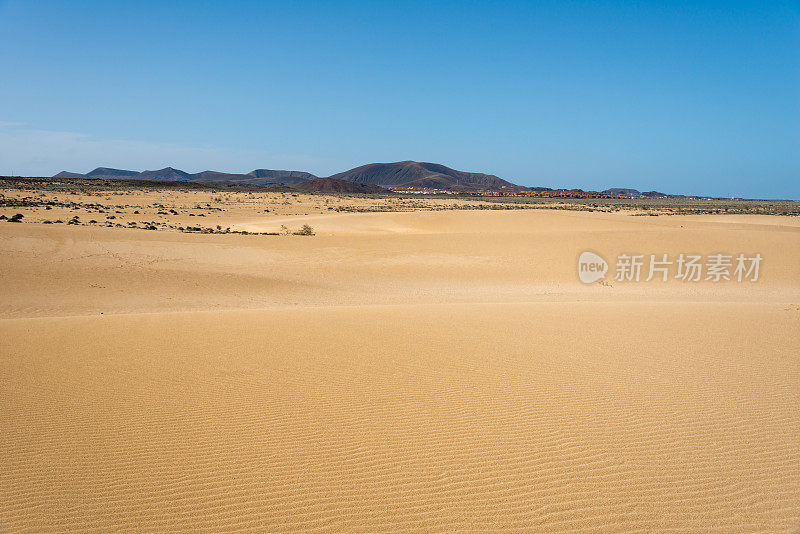 沙丘景观和地平线上的山脉-富埃特文图拉，西班牙