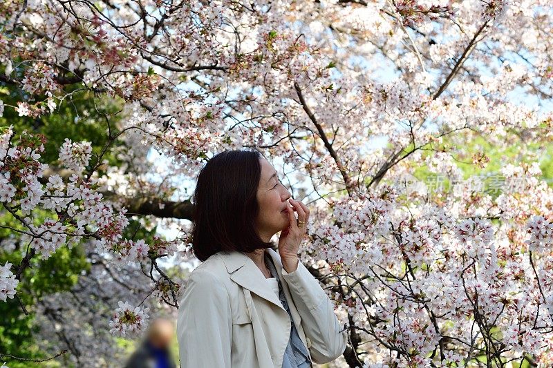 日本女子在东京公园欣赏樱花