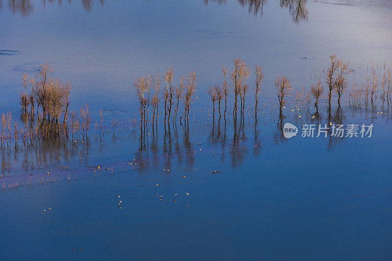 中国云南省年湖黑颈鹤保护区