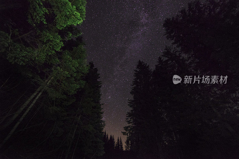 森林上空的星空