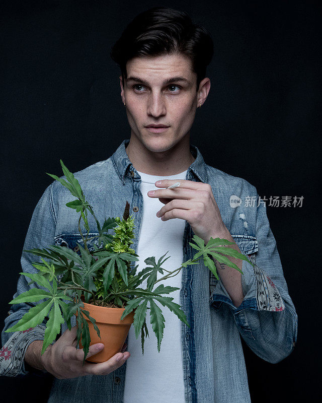 男子与大麻植物的近距离观察