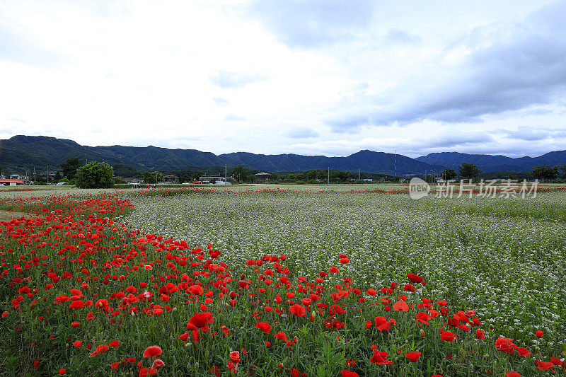 湖春川