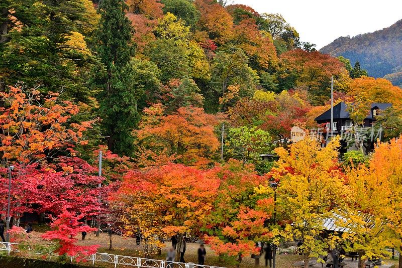 青森县黑石的中野百山公园秋叶