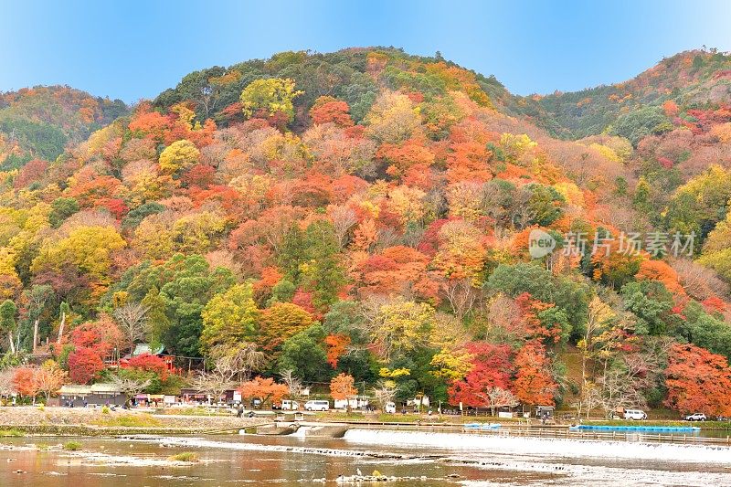 日本京都岚山地区秋叶颜色