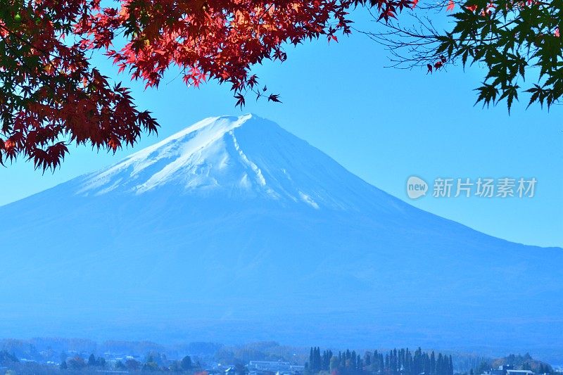 日本富士五湖地区的富士山和秋叶色