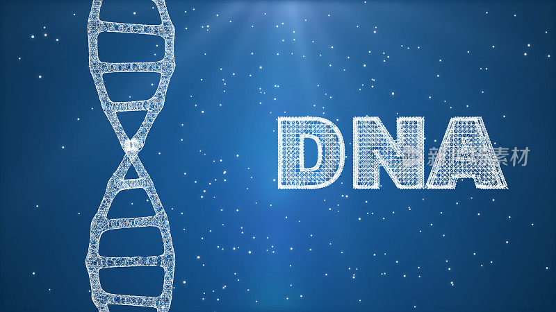 DNA序列，发光的DNA编码结构