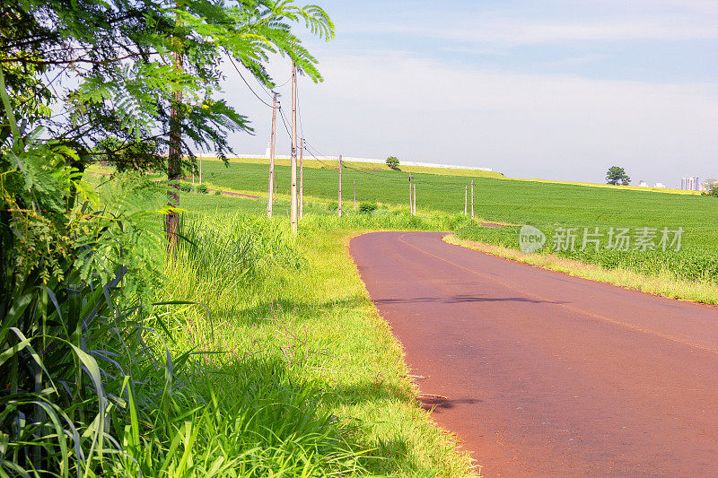 巴西内陆的公路。