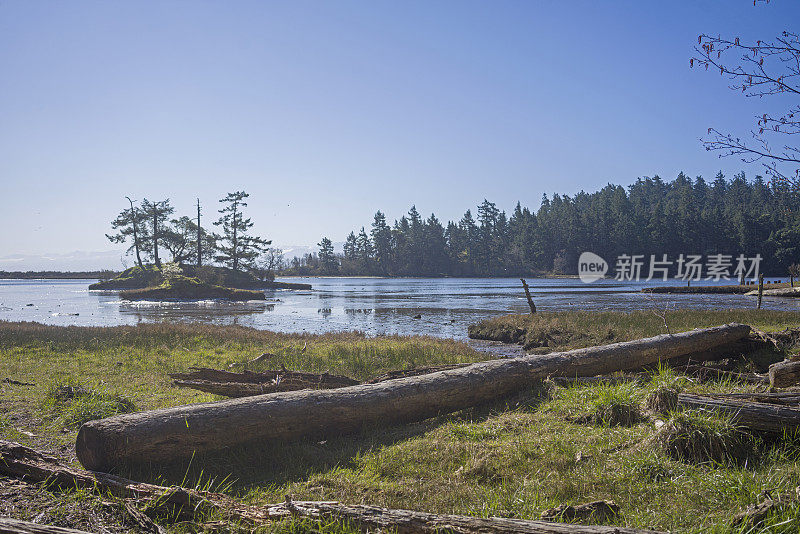 不列颠哥伦比亚省西海岸