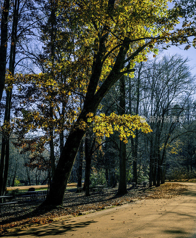 在深溪营地的黄树-大烟山国家公园附近的布莱森市，北卡罗来纳州